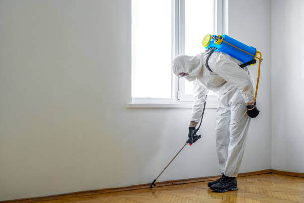 Southern Shops, SC Pest Control Company
