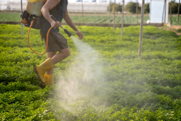 Pest Control for Restaurants in Southern Shops, SC
