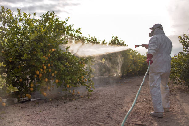 Pest Control for Restaurants in Southern Shops, SC