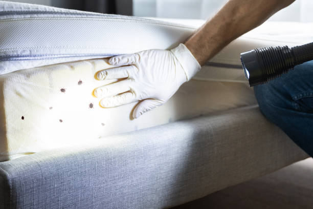 Best Exterminator Services  in Southern Shops, SC